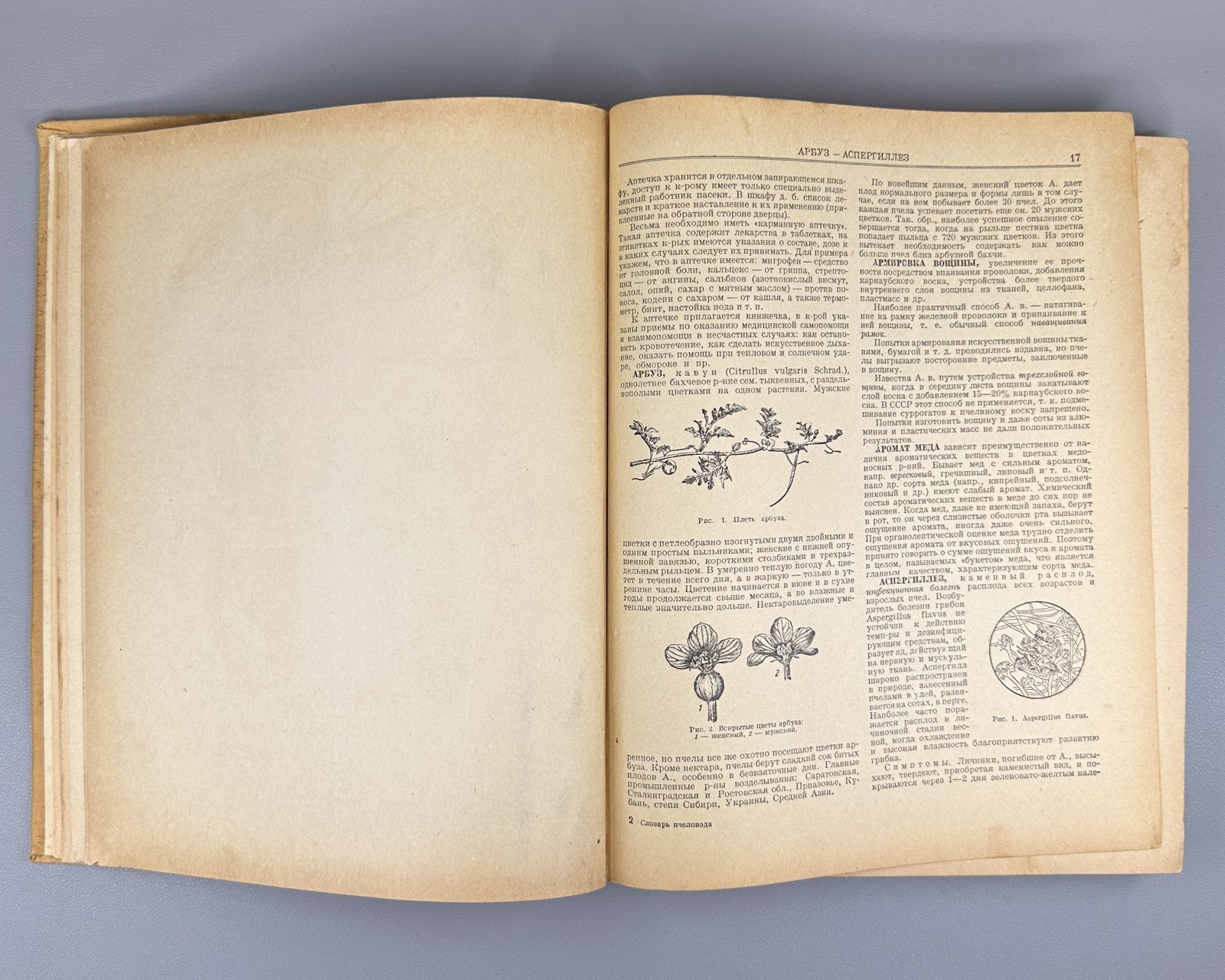Абрикосов Словарь-справочник пчеловода 1955 Beekeeping Dictionary-Handbook USSR