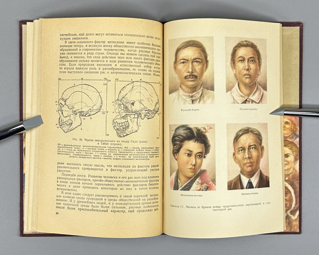 1st ed. Human Races Anthropology 1954 Нестурх Человеческие расы Антропология