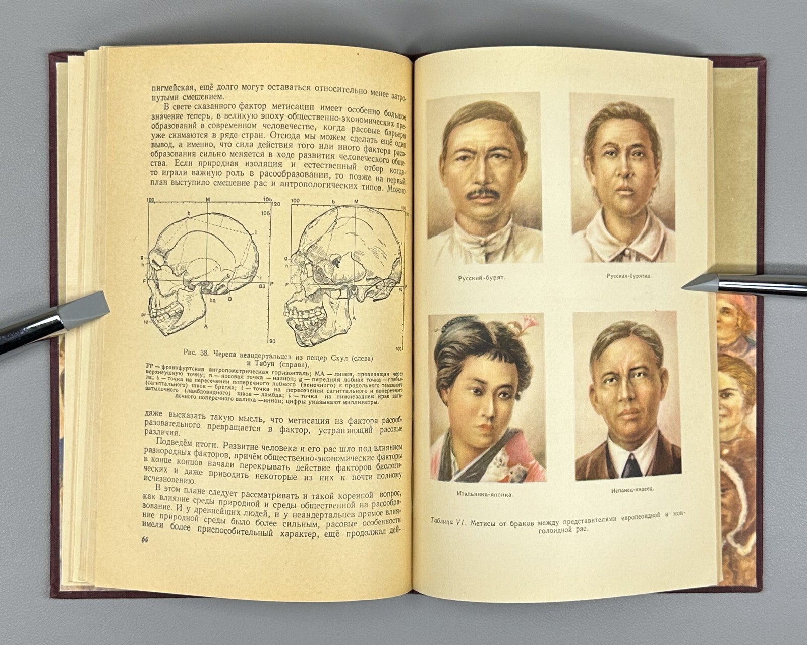 1st ed. Human Races Anthropology 1954 Нестурх Человеческие расы Антропология