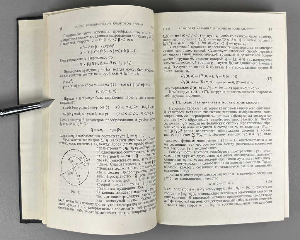 Новожилов Введение в теорию элементарных частиц 1972 Novozhilov Particle Theory