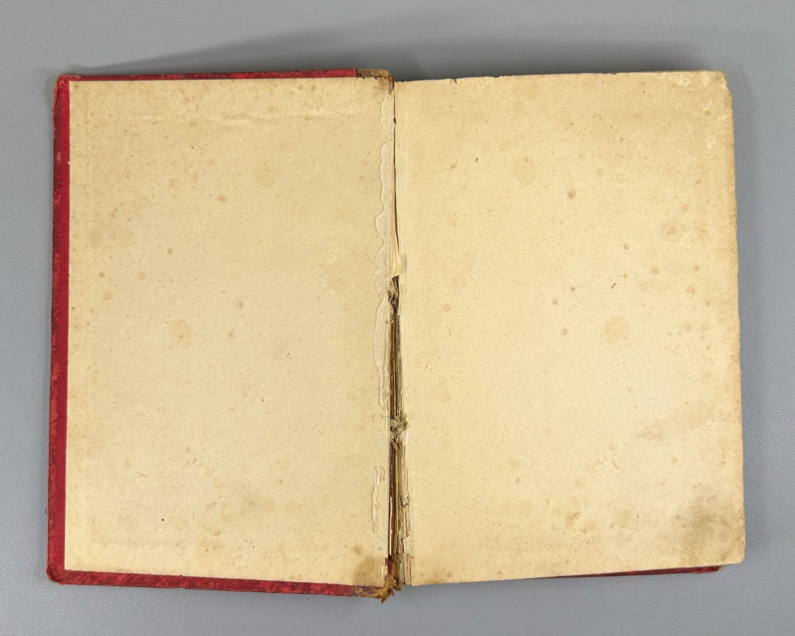 Zola Fecundity Fécondité Novel 1900 Золя Плодовитость Роман