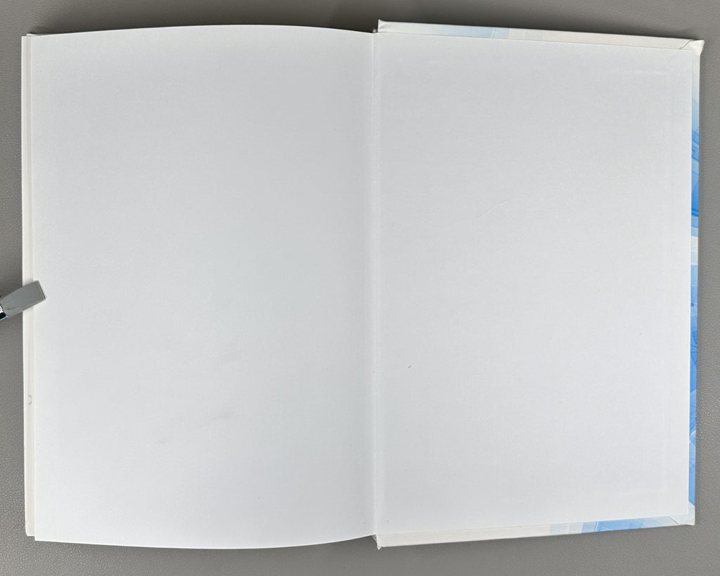 1st ed. Colliders and Detectors 2019 Коллайдеры и детекторы в ИЯФ СО РАН