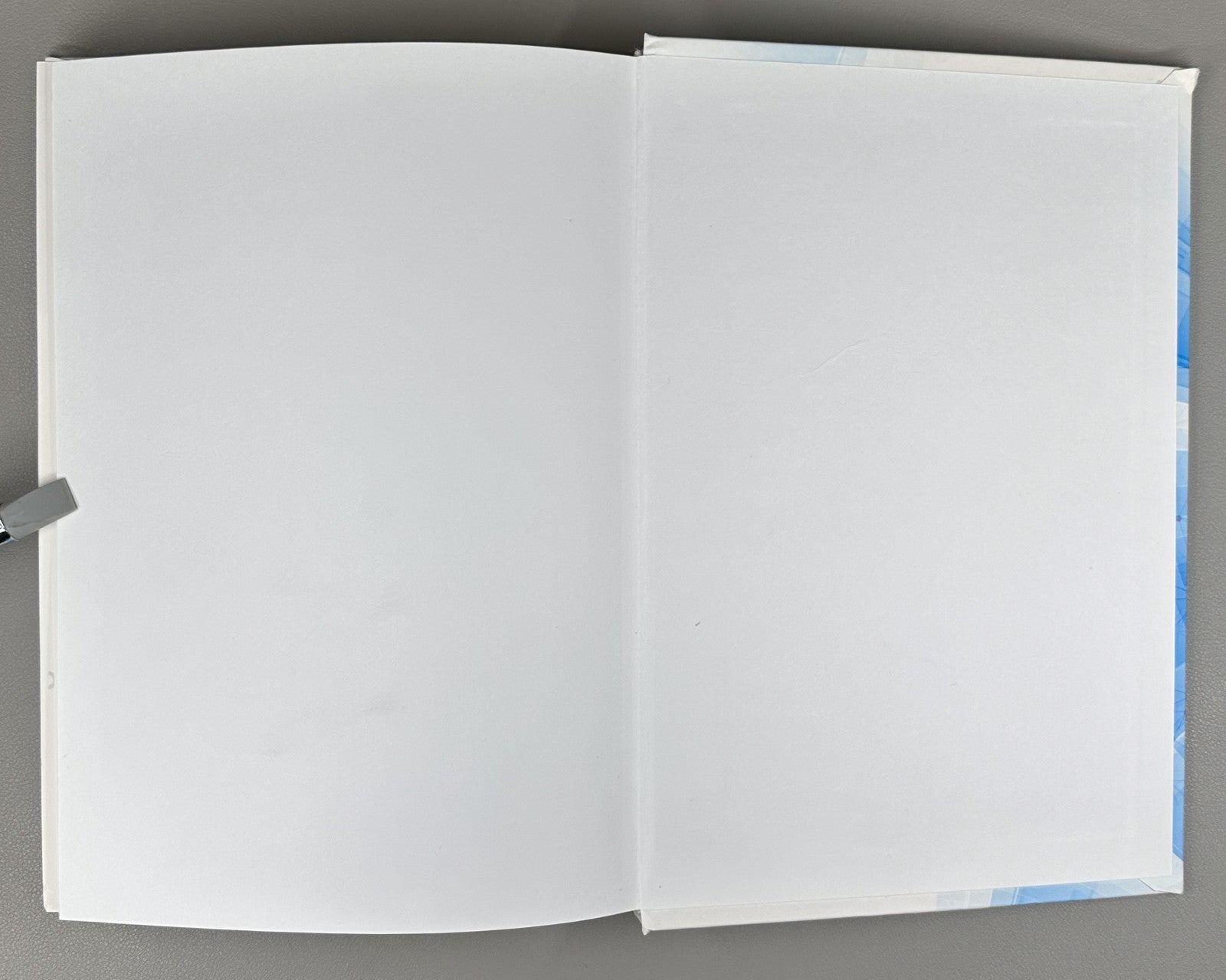 1st ed. Colliders and Detectors 2019 Коллайдеры и детекторы в ИЯФ СО РАН