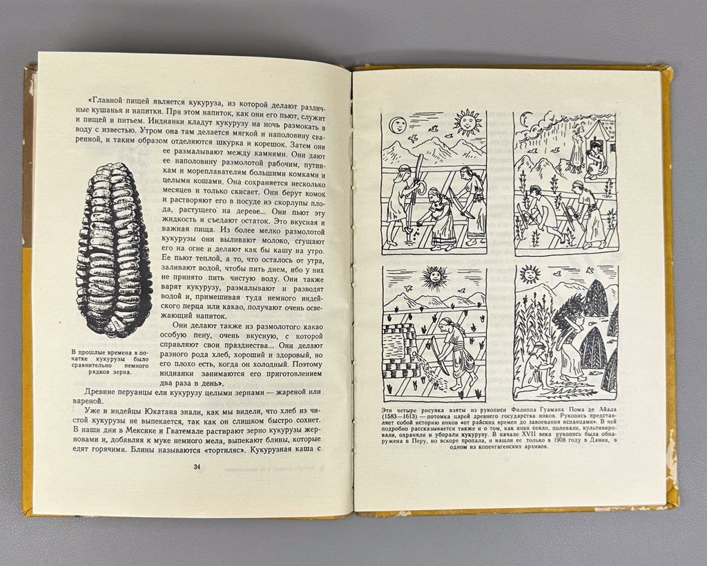 Гришин История початка и ее продолжение 1956 Grishin The History of the Corncob
