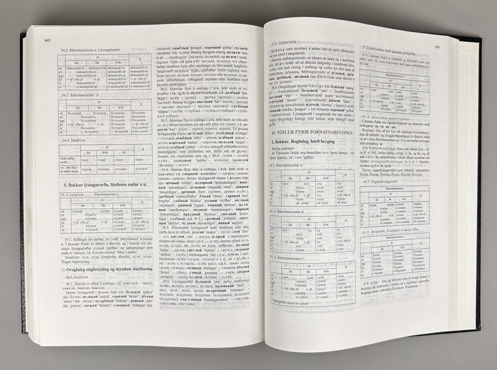 Rússnesk-íslensk orðabók Russian-Icelandic Dictionary Русско-Исландский словарь