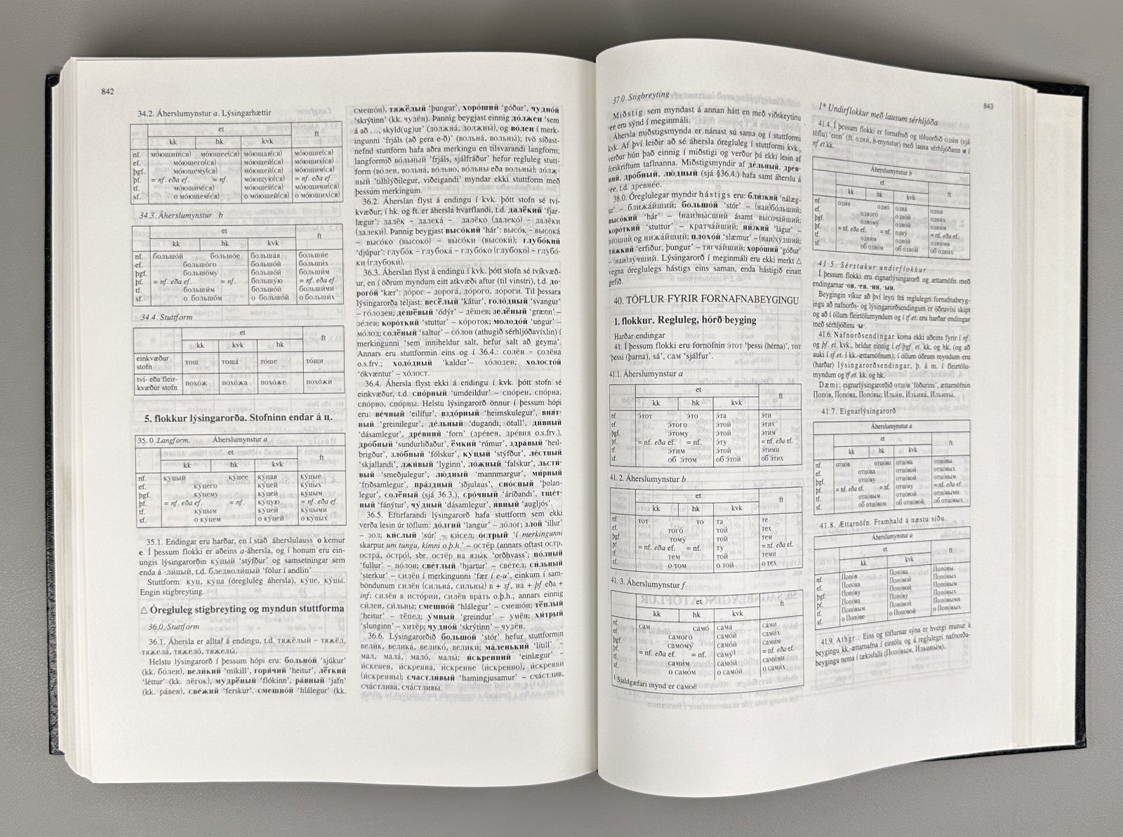 Rússnesk-íslensk orðabók Russian-Icelandic Dictionary Русско-Исландский словарь