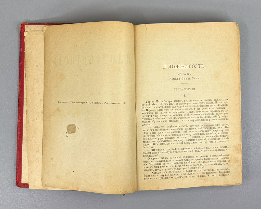 Zola Fecundity Fécondité Novel 1900 Золя Плодовитость Роман