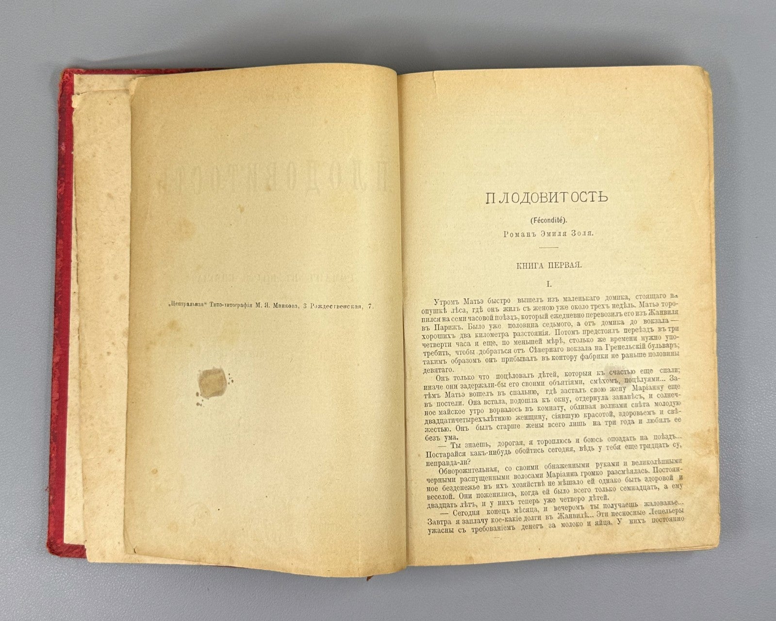 Zola Fecundity Fécondité Novel 1900 Золя Плодовитость Роман