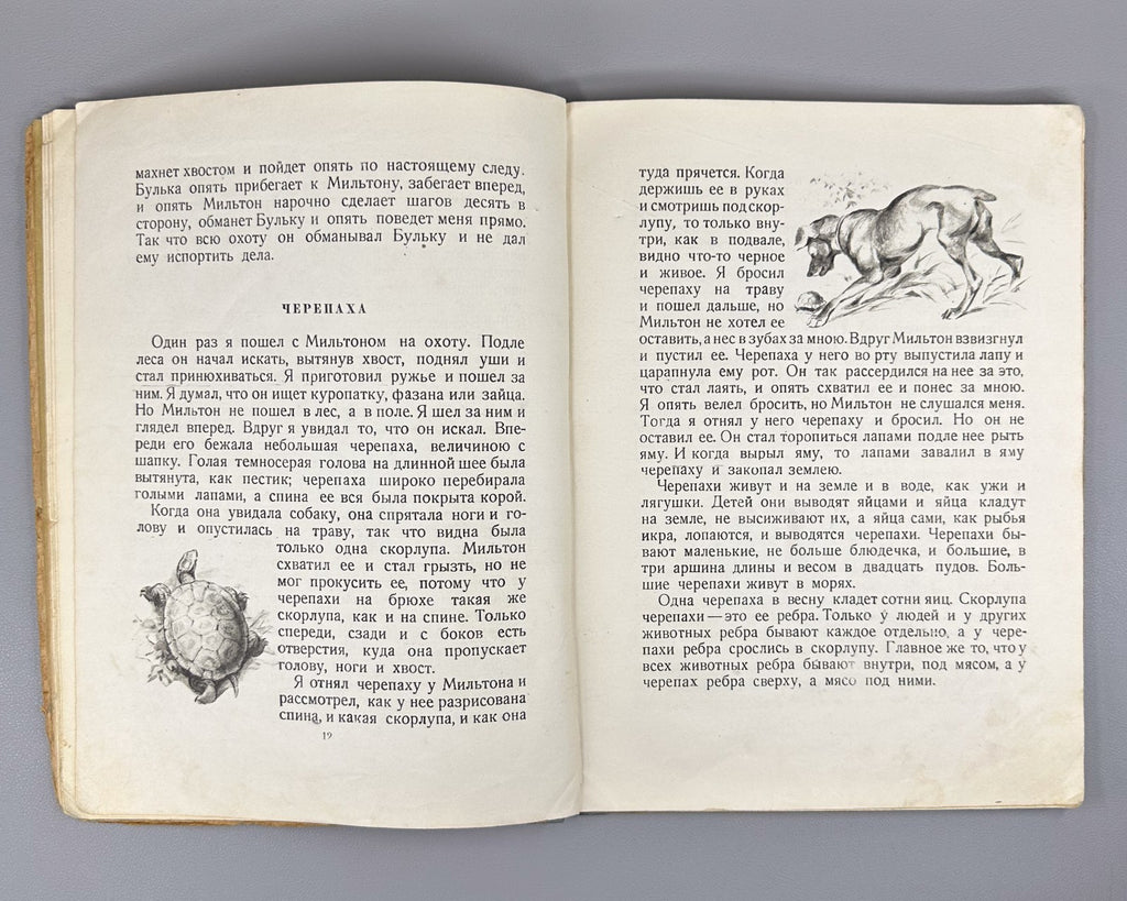 Толстой Рассказы о животных Ватагина 1936 Tolstoy Stories about Animals Vatagin