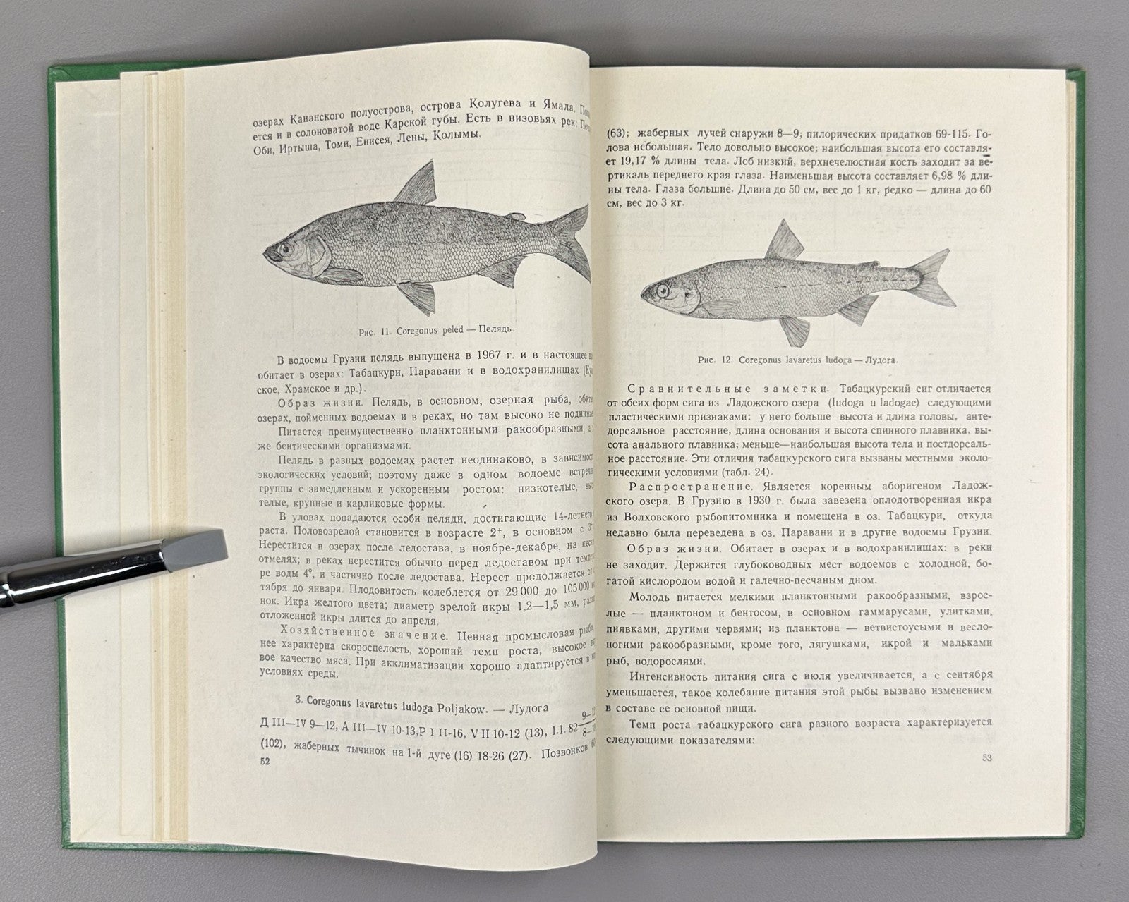 Эланидзе Ихтиофауна рек и озёр Грузии 1983 Elanidze Fish fauna of Georgia Rivers