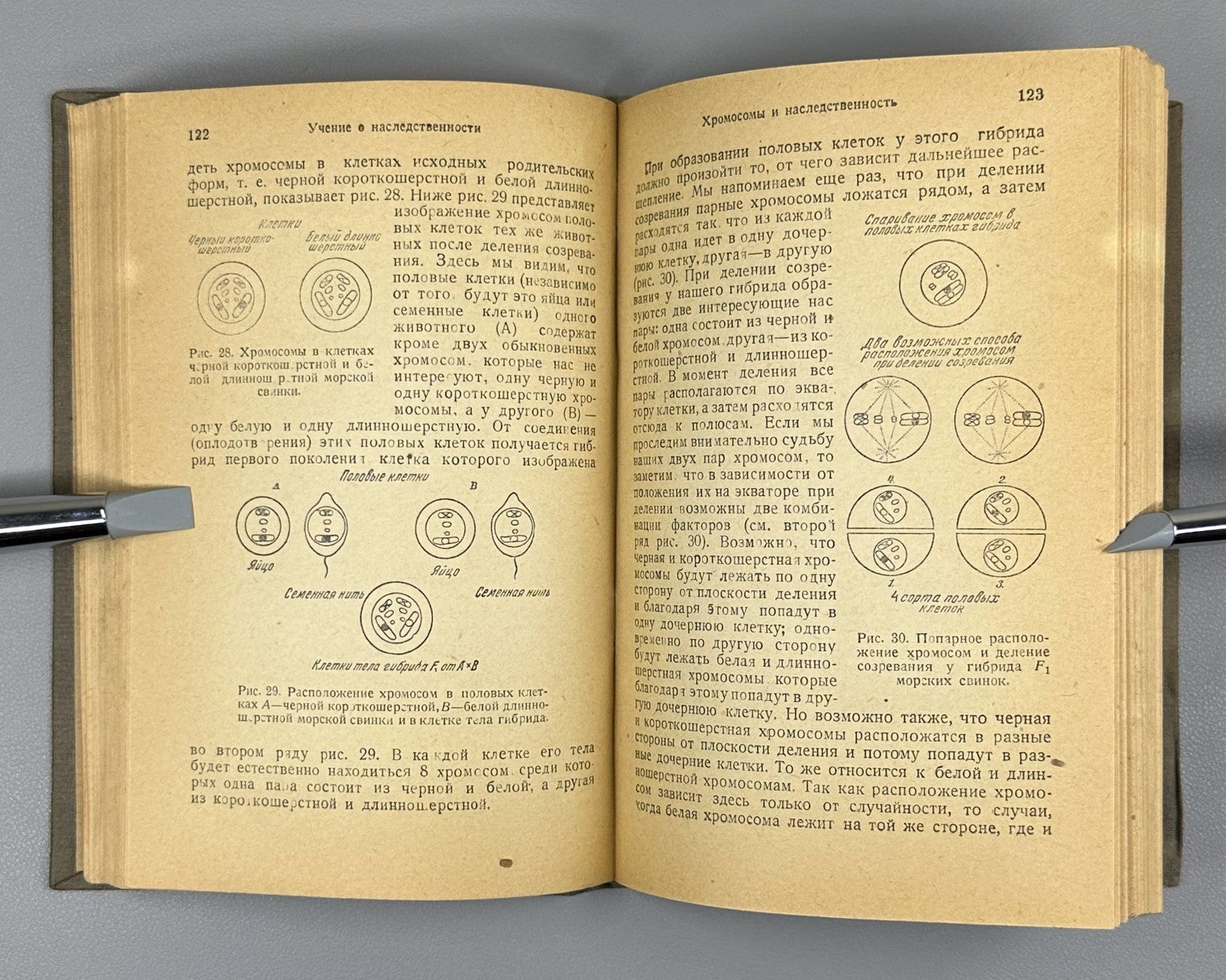 Goldschmidt Doctrine of Heredity 1936 Гольдшмидт Учение о наследственности