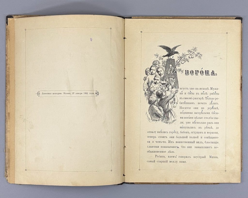 Kolokolnikova Crow  A story for children book 1901 Колокольникова Ворона Rare
