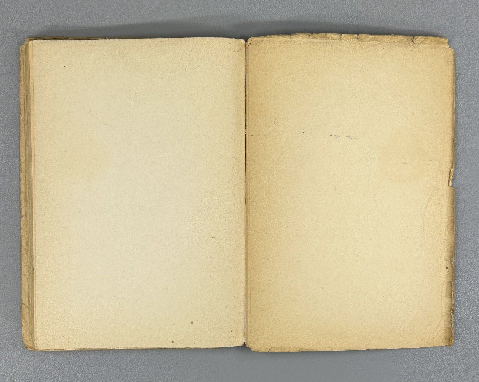1st ed. Zoshchenko Letters to a Writer 1929 Зощенко Письма к писателю Rare