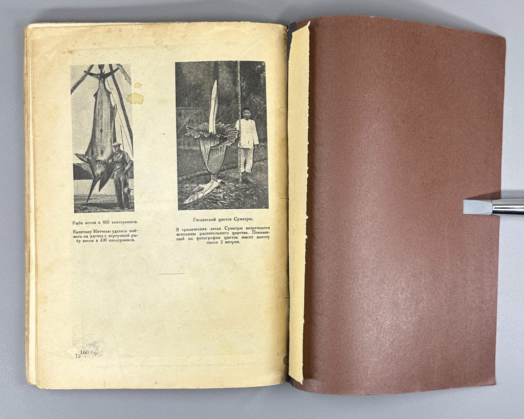 1st ed. The Hum of the Earth Zamyatin Crimean Tatars 1928 Гул земли Замятин Rare