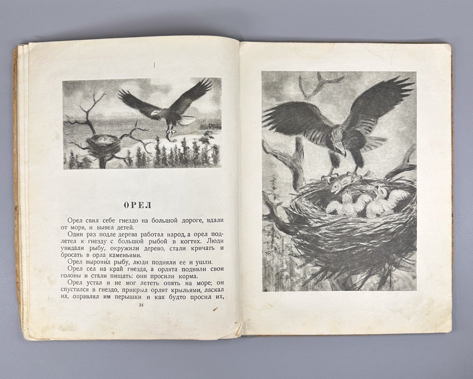 Толстой Рассказы о животных Ватагина 1936 Tolstoy Stories about Animals Vatagin