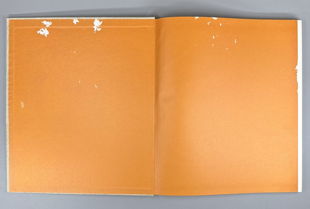 1st ed. Gorodets Painting design Mavrina Russia 1970 Городецкая живопись Маврина