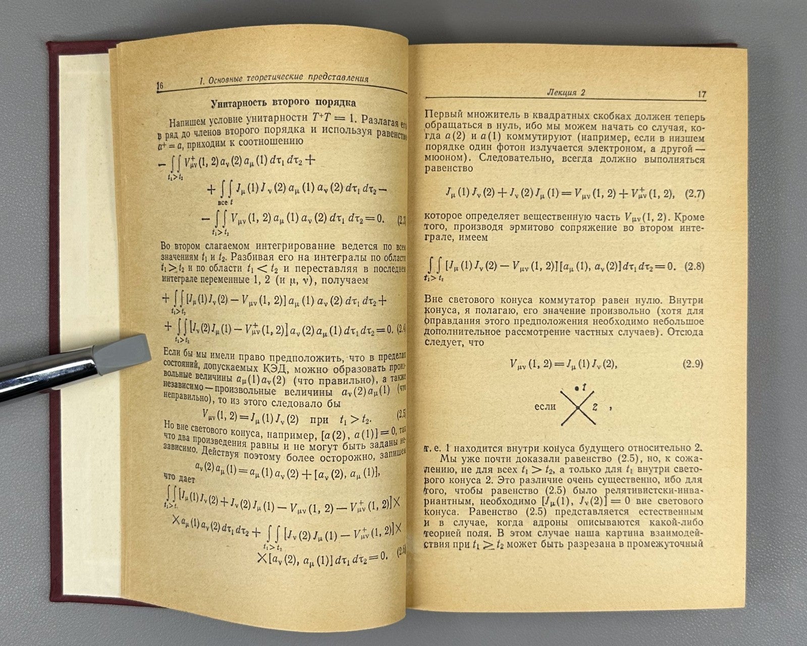 Фейнман Взаимодействие фотонов с адронами 1975 Feynman Photon-Hadron Interaction