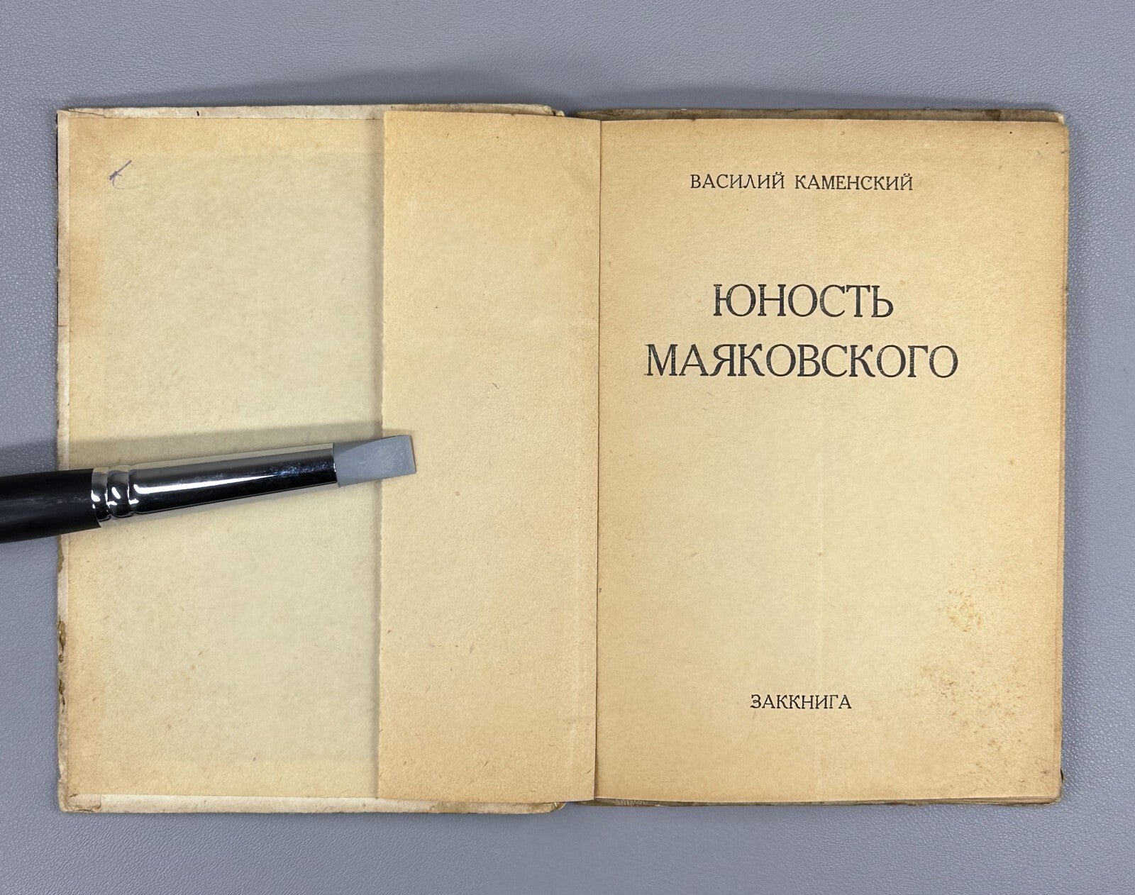 Vasily Kamensky Mayakovsky's Youth LEF 1931 Каменский Юность Маяковского ЛЕФ