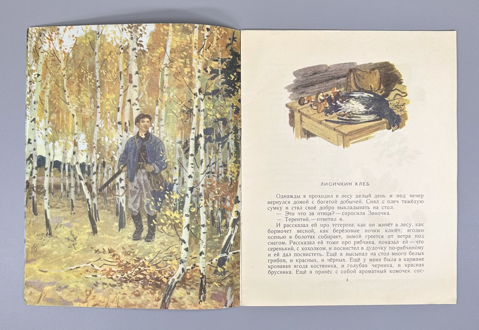 Prishvin Children & Ducklings USSR Children’s book  1956 Пришвин Ребята и утята