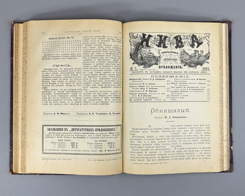 Литературные приложения к журналу Нива за 1895 Niva Magazine Literary Supplement