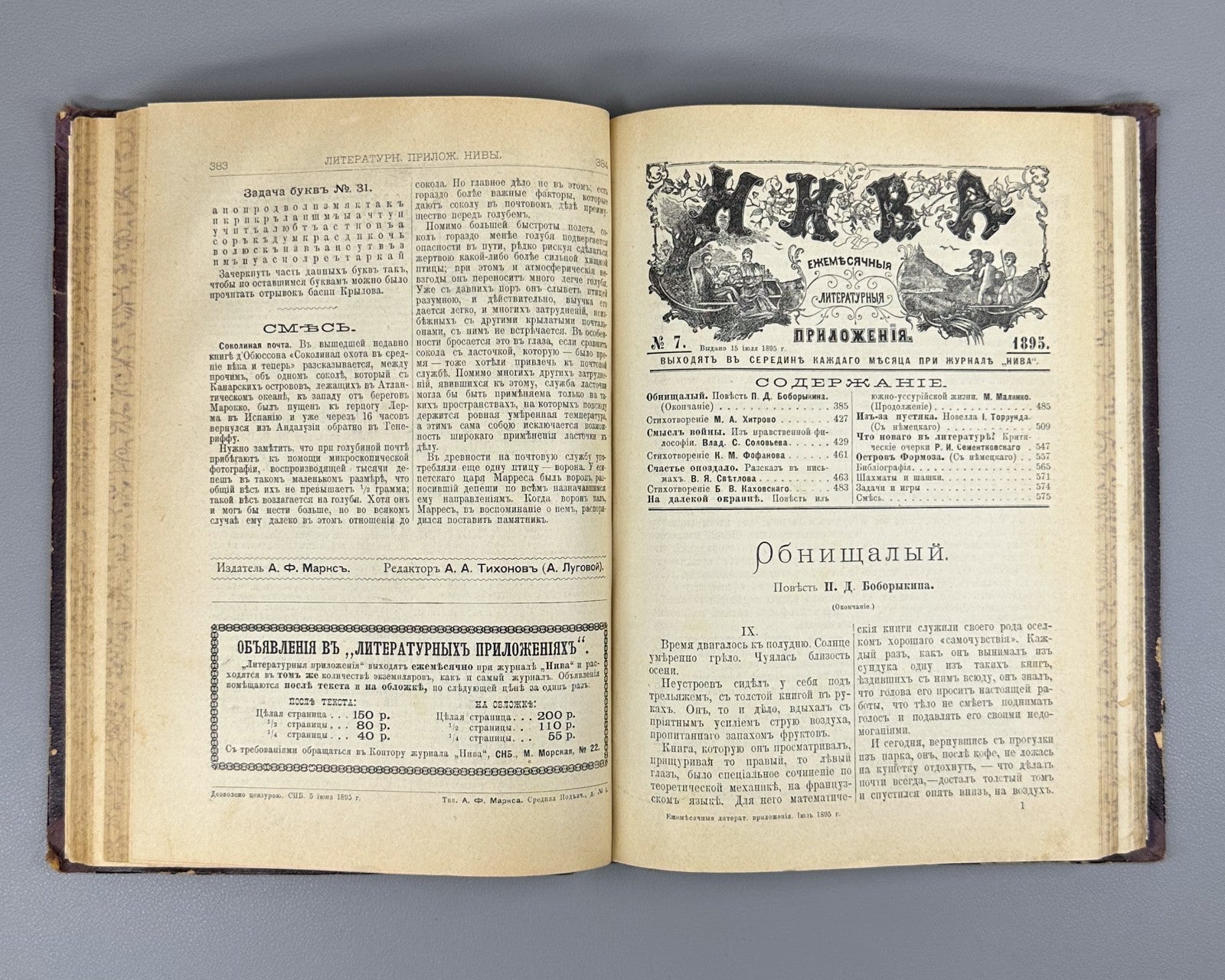 Литературные приложения к журналу Нива за 1895 Niva Magazine Literary Supplement