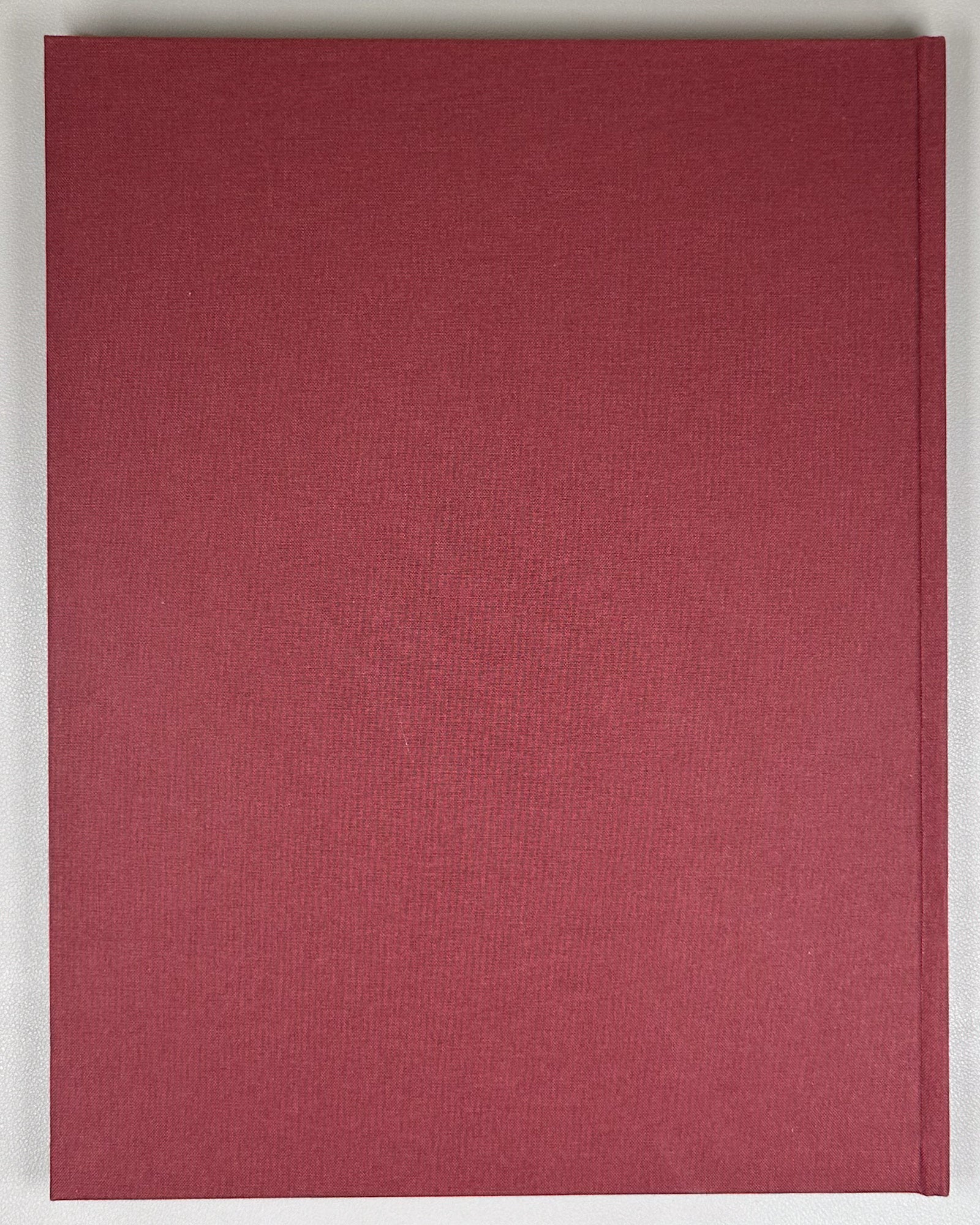 Shevchenko, Taras. The Haydamaks (Gaidamaki). Illustrated by Opanas Slastion. Bilingual deluxe edition. Vyshhorod, 2003. In Ukrainian and English.