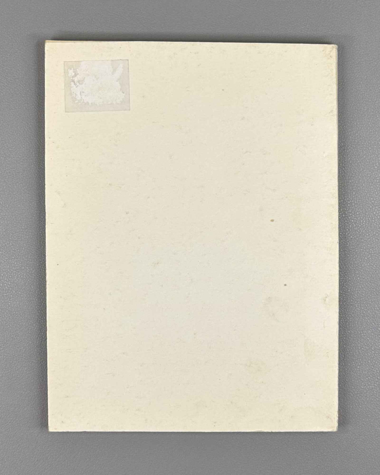 Rural Settlements of Russia: Historical and Sociocultural Analysis (Selskie poseleniya Rossii). Ed. O. G. Sevan, 1995. In Russian.