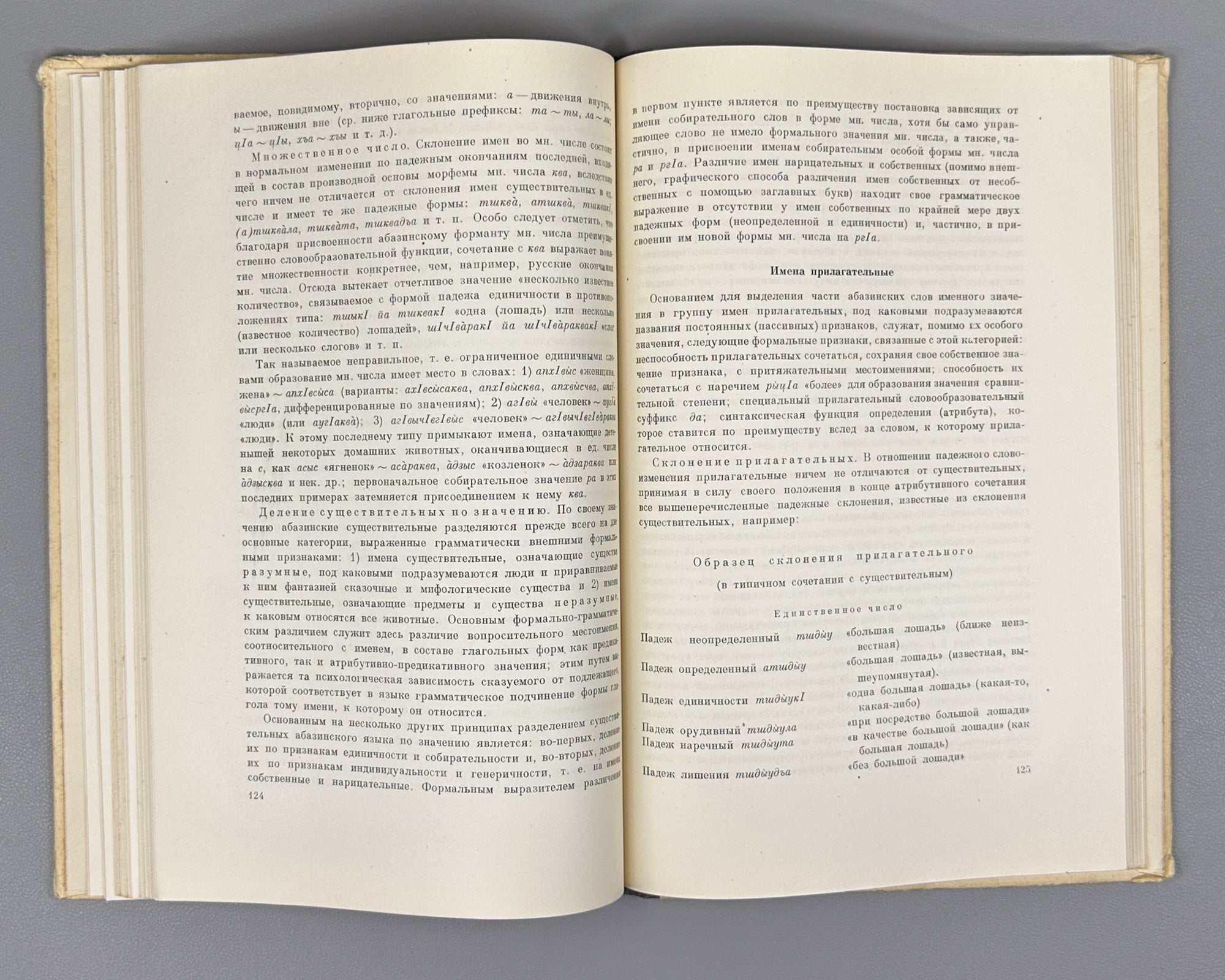 Genko, A. N. The Abaza Language: Grammatical Sketch of the Tapanta Dialect (Abazinskii yazyk Grammaticheskii ocherk narechiya tapanta). First edition, 1955. In Russian.