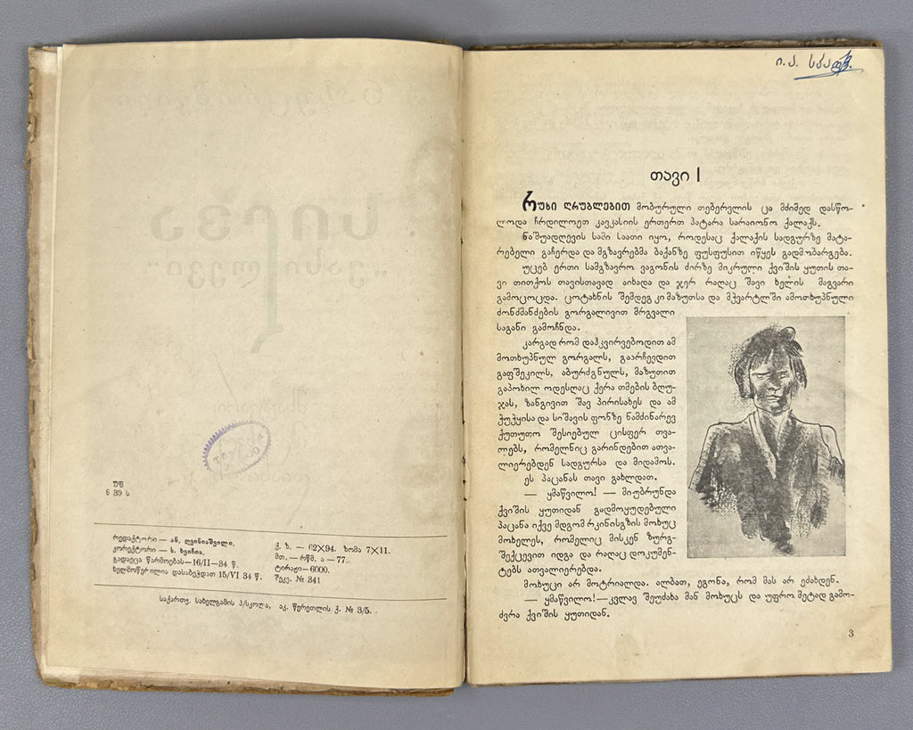 Nakhutsrishvili, G. Silva "Vasilevi": A Story for Young Readers / illustrated by Elene Akhvlediani. Tiflis, 1934. In Georgian.