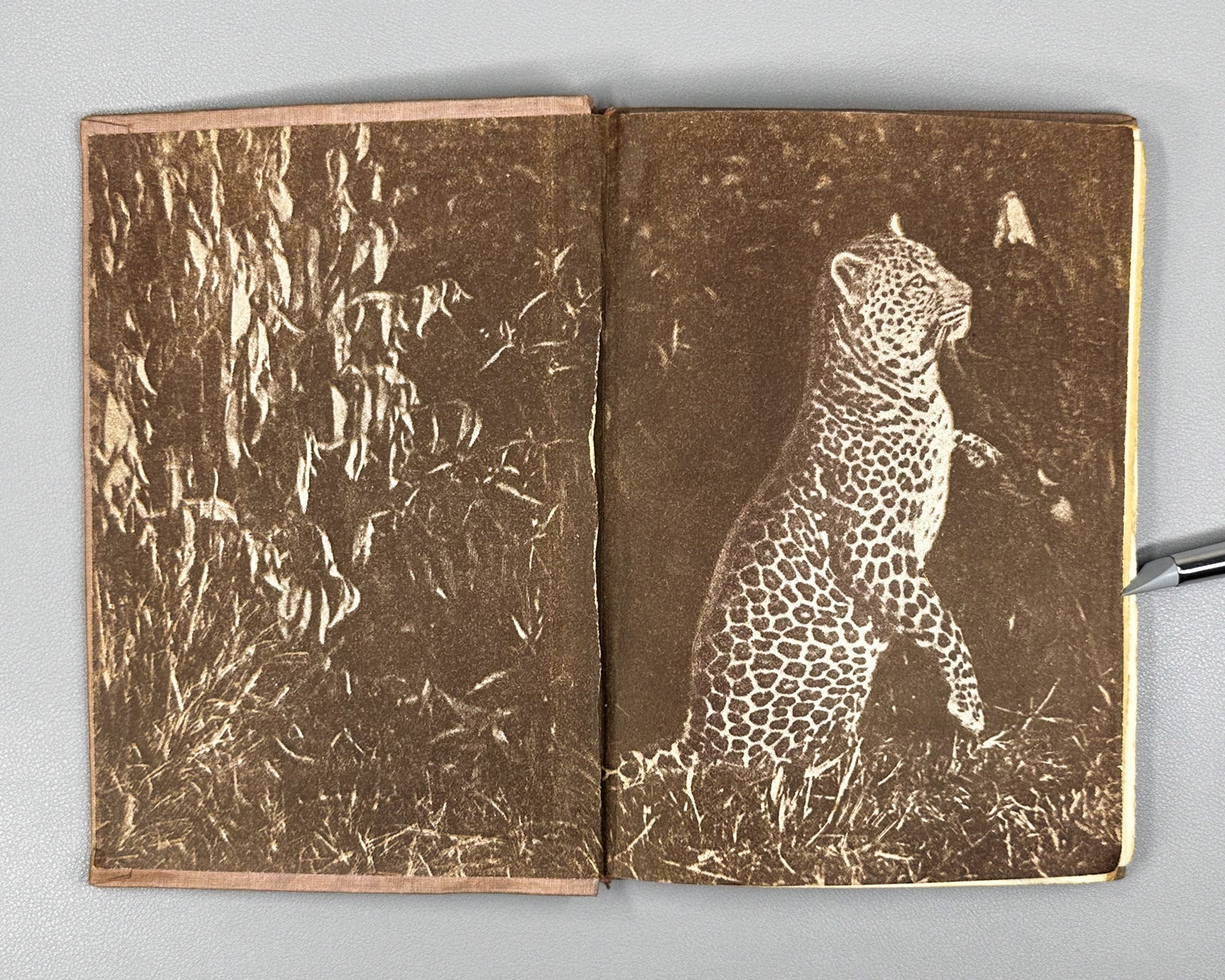 Akeley, C. In the Heart of Africa (V serdtse Afriki), 1935. In Russian.