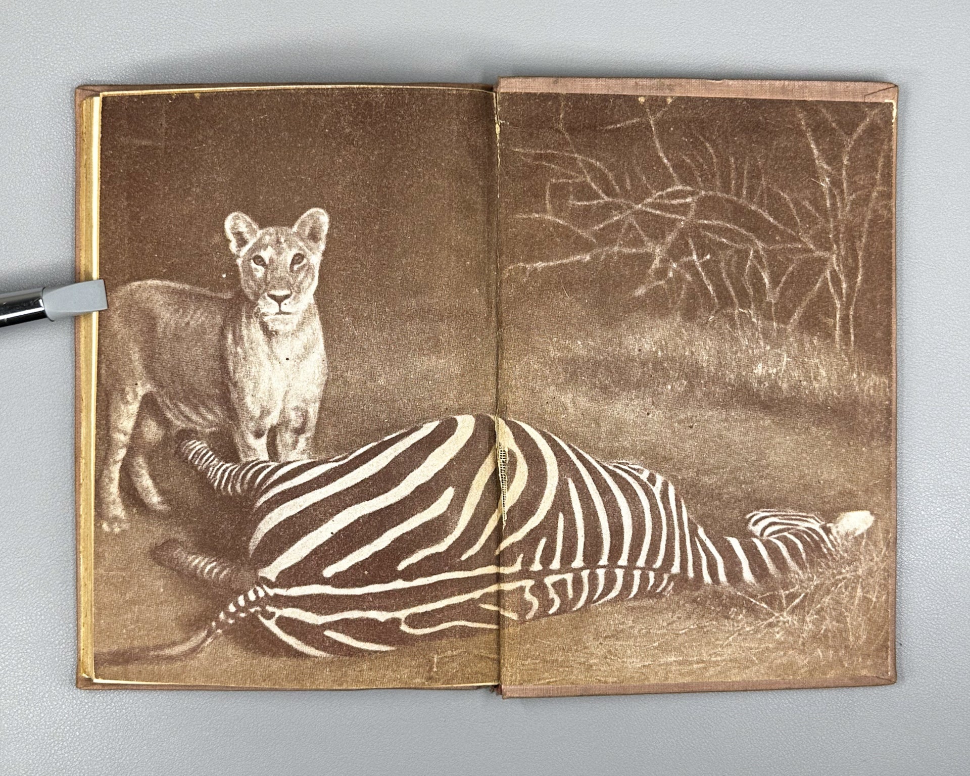 Akeley, C. In the Heart of Africa (V serdtse Afriki), 1935. In Russian.