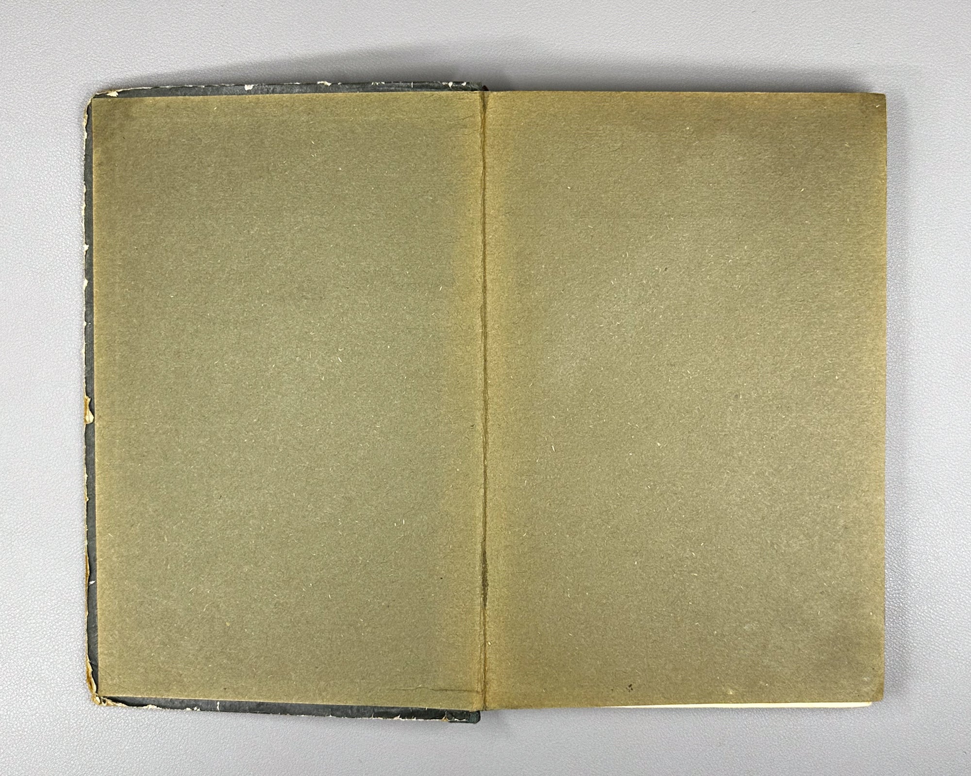 Lasker, E. Manual of Chess (Uchebnik shakhmatnoi igry). Edited by I. L. Maizelis, 1927. In Russian.