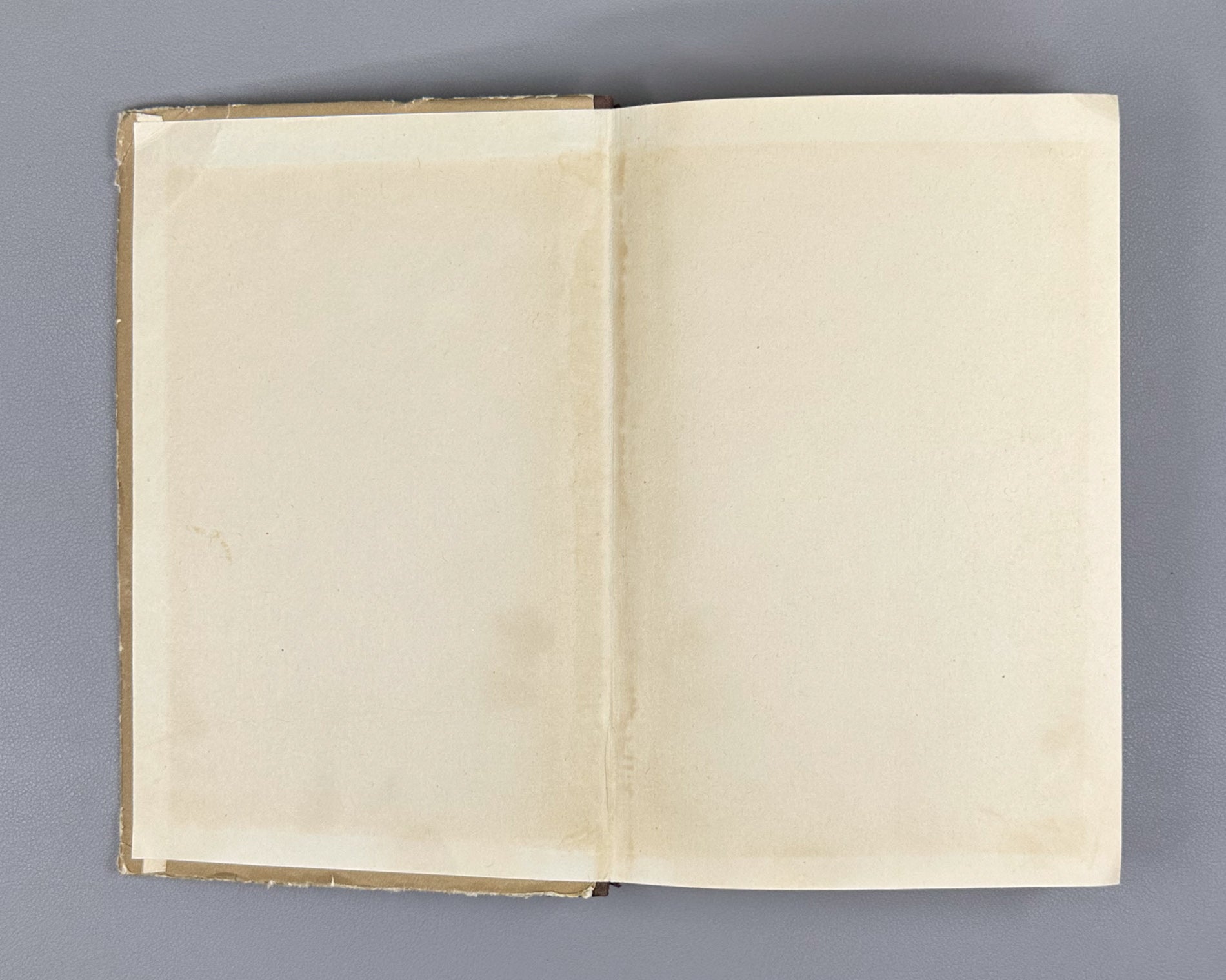 Banach, Stefan. Differential and Integral Calculus (Differentsial'noe i integral'noe ischislenie). First Russian edition, 1958.