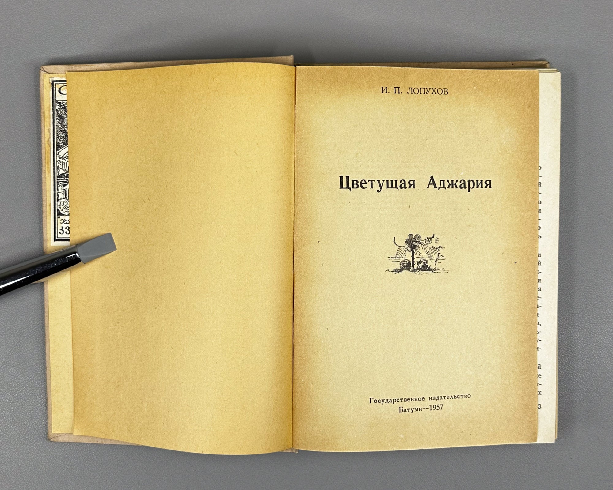 Lopukhov, I. P. Blooming Adjara (Tsvetushchaya Adzhariya), 1957. In Russian.