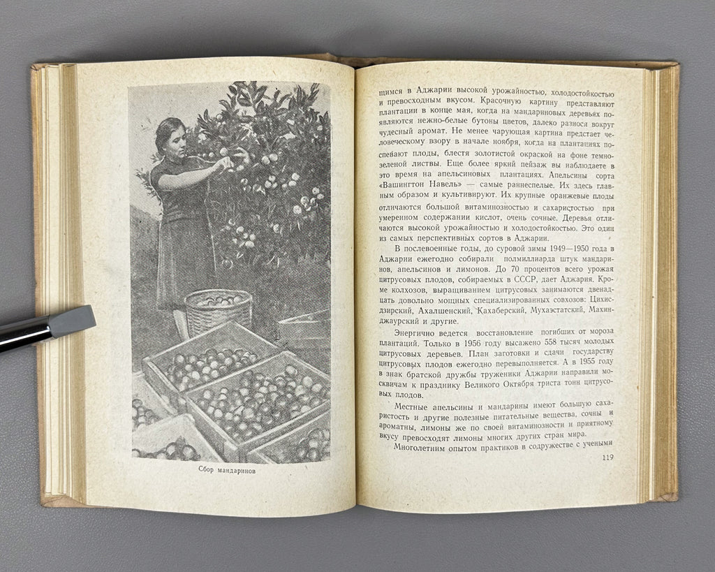 Lopukhov, I. P. Blooming Adjara (Tsvetushchaya Adzhariya), 1957. In Russian.
