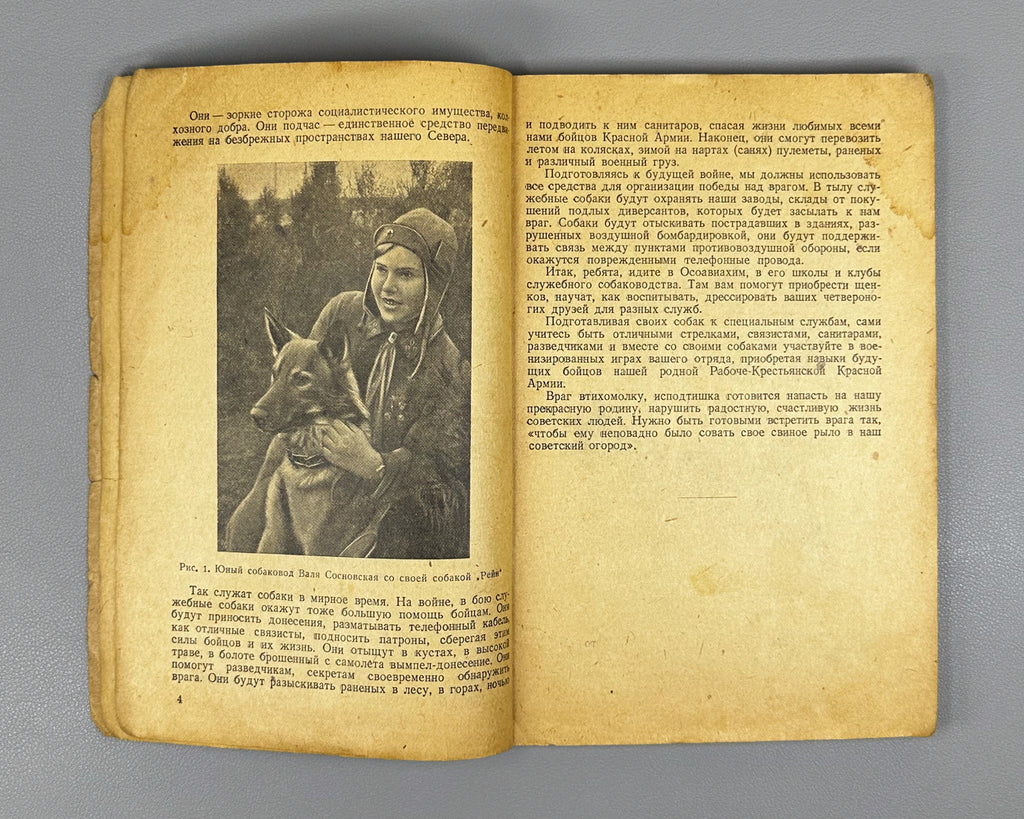 Golubev, V. G. The Young Dog Handler (Yunyi sobakovod). Osoaviakhim USSR, 1939. First edition. In Russian.