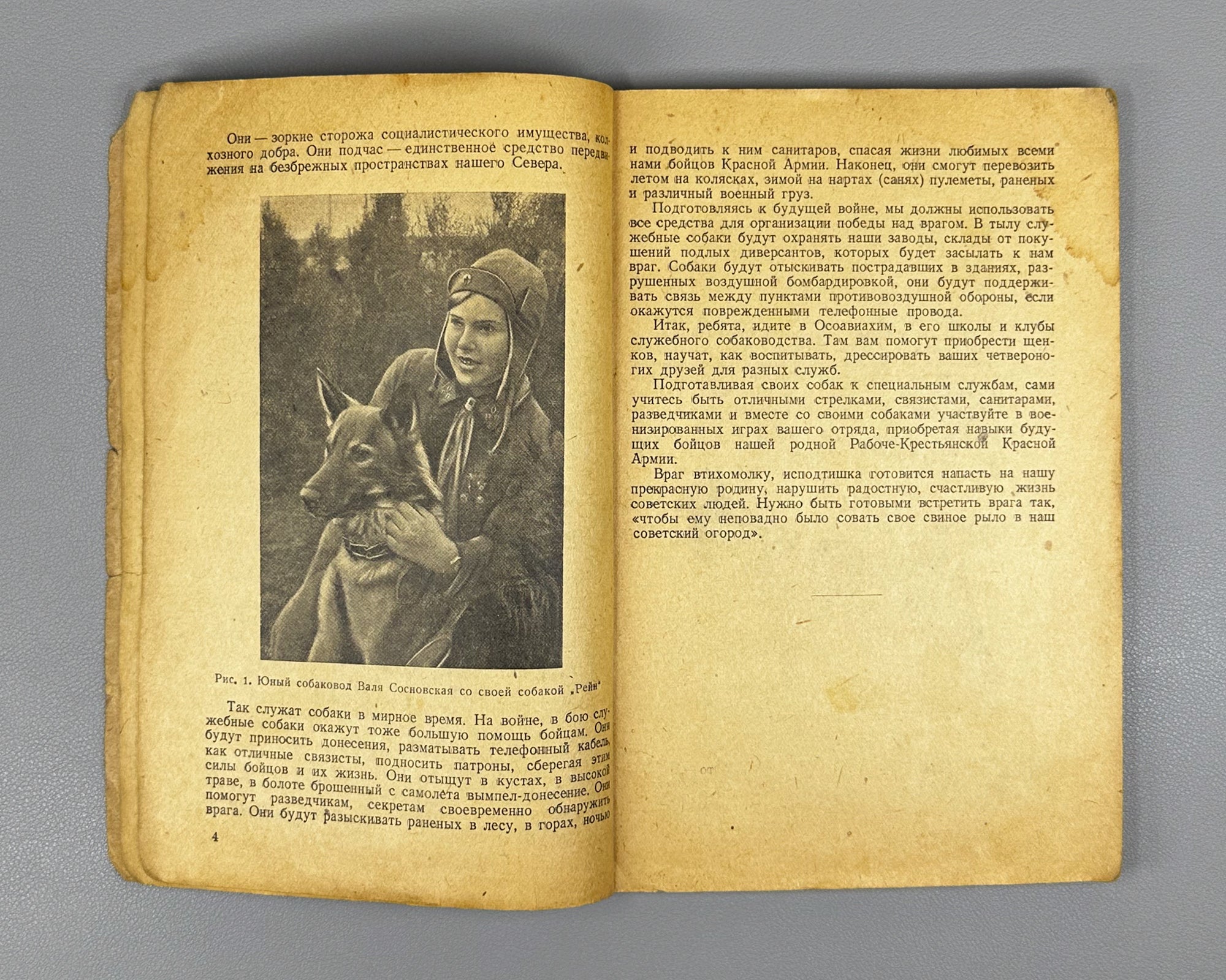 Golubev, V. G. The Young Dog Handler (Yunyi sobakovod). Osoaviakhim USSR, 1939. First edition. In Russian.