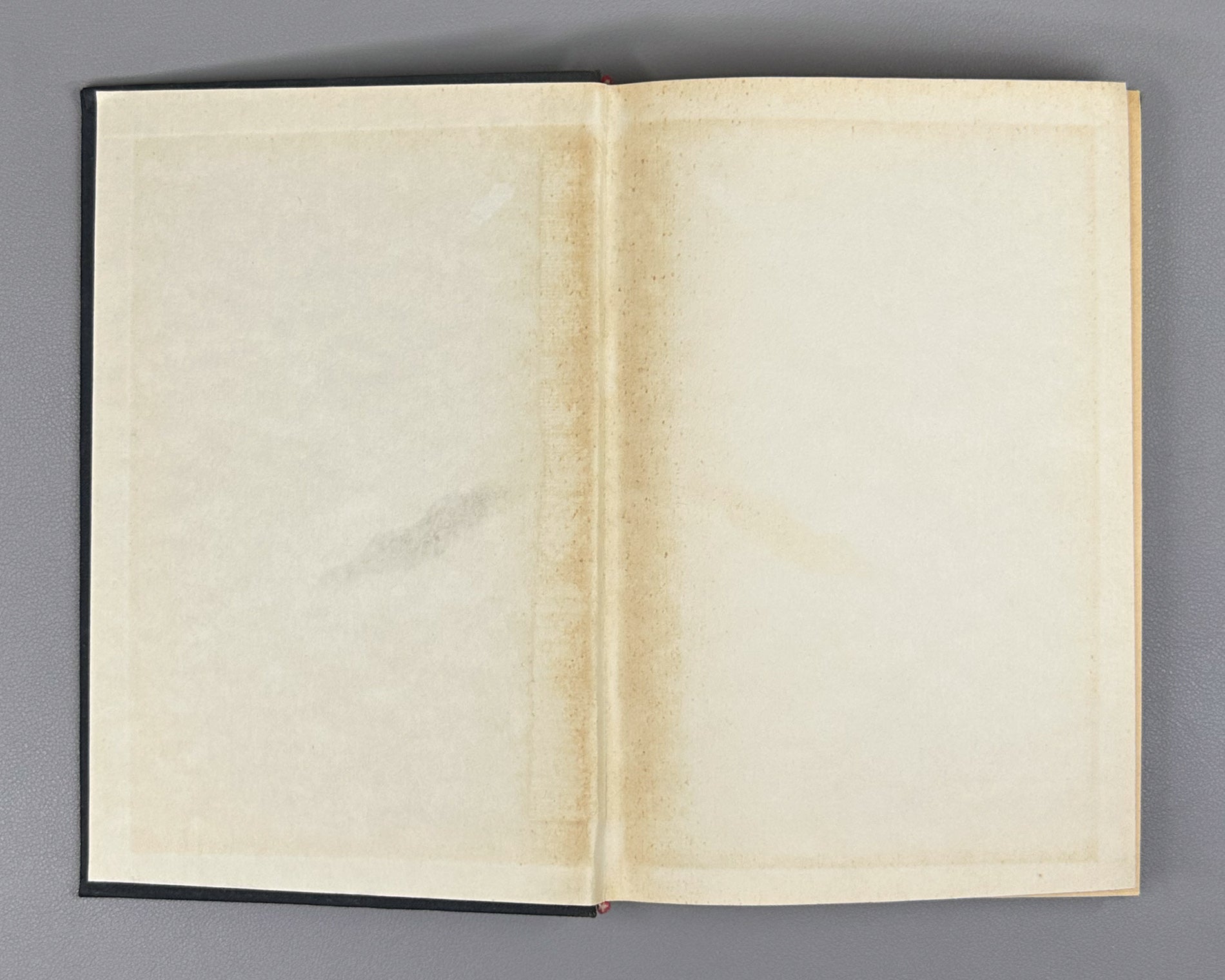Borsuk, Karol. Theory of Retracts (Teoriya retraktov). First Russian edition, 1971.