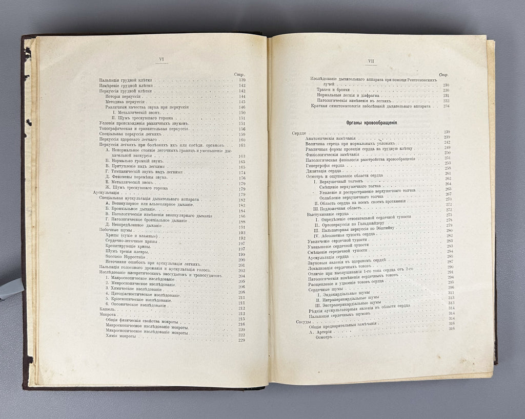 Schmidt, A. and Lutje. Clinical Diagnostics and Propaedeutics of Internal Diseases (Klinicheskaya diagnostika i propedevtika vnutrennikh bolezney). 1911. In Russian.