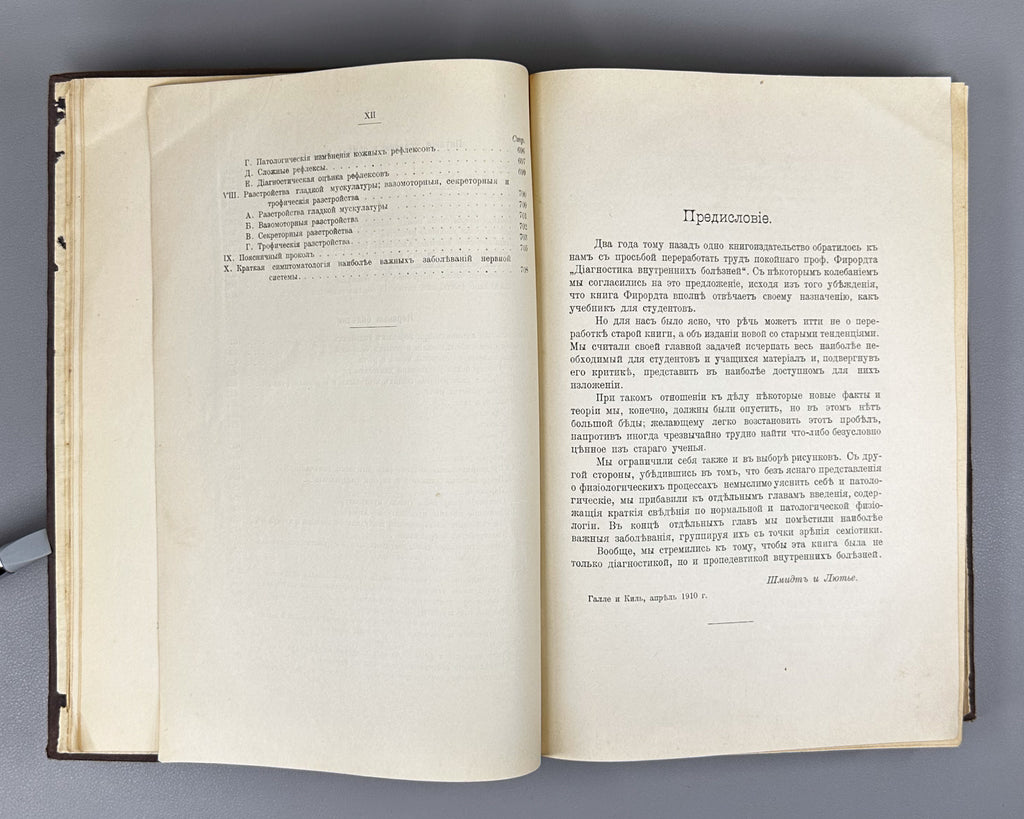 Schmidt, A. and Lutje. Clinical Diagnostics and Propaedeutics of Internal Diseases (Klinicheskaya diagnostika i propedevtika vnutrennikh bolezney). 1911. In Russian.