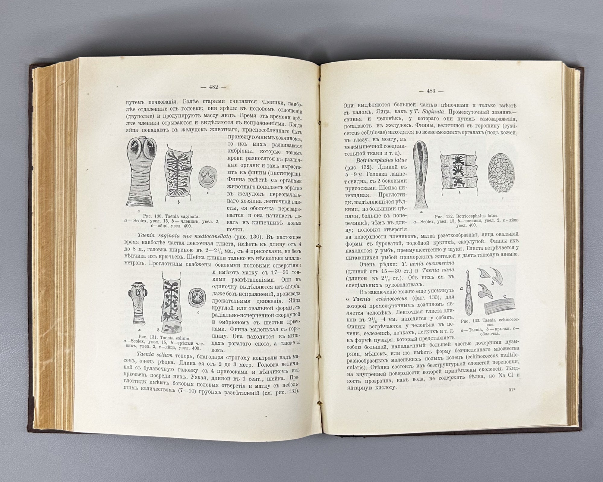 Schmidt, A. and Lutje. Clinical Diagnostics and Propaedeutics of Internal Diseases (Klinicheskaya diagnostika i propedevtika vnutrennikh bolezney). 1911. In Russian.