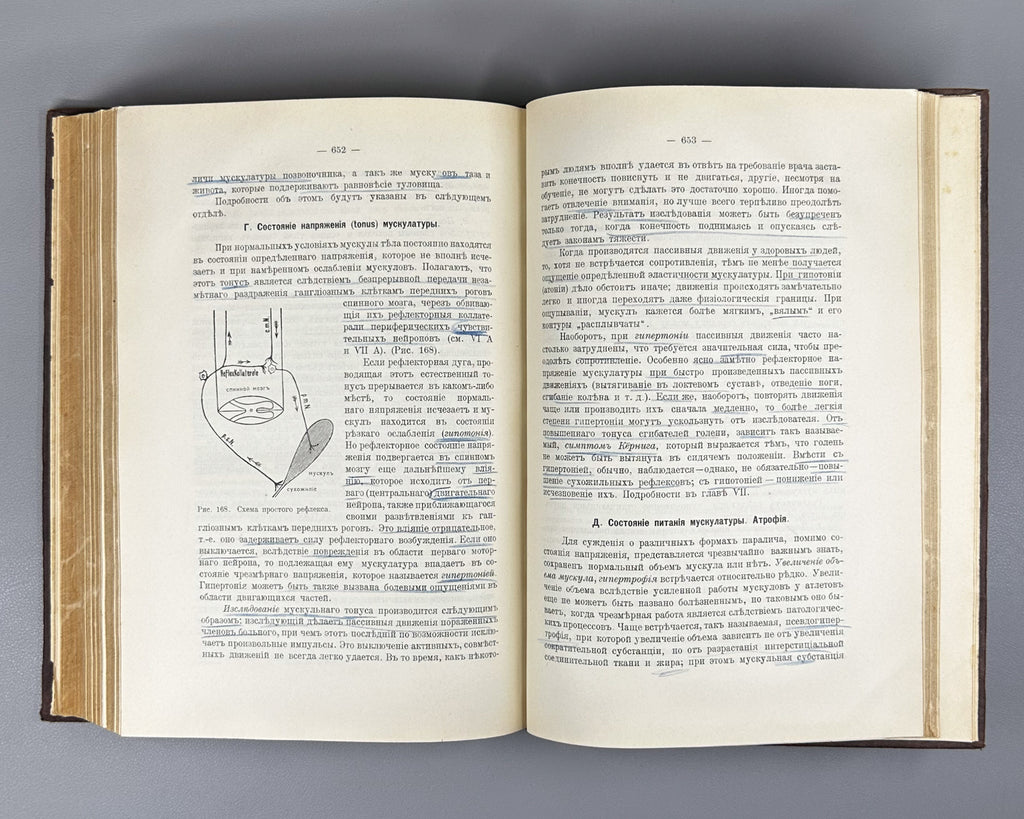 Schmidt, A. and Lutje. Clinical Diagnostics and Propaedeutics of Internal Diseases (Klinicheskaya diagnostika i propedevtika vnutrennikh bolezney). 1911. In Russian.