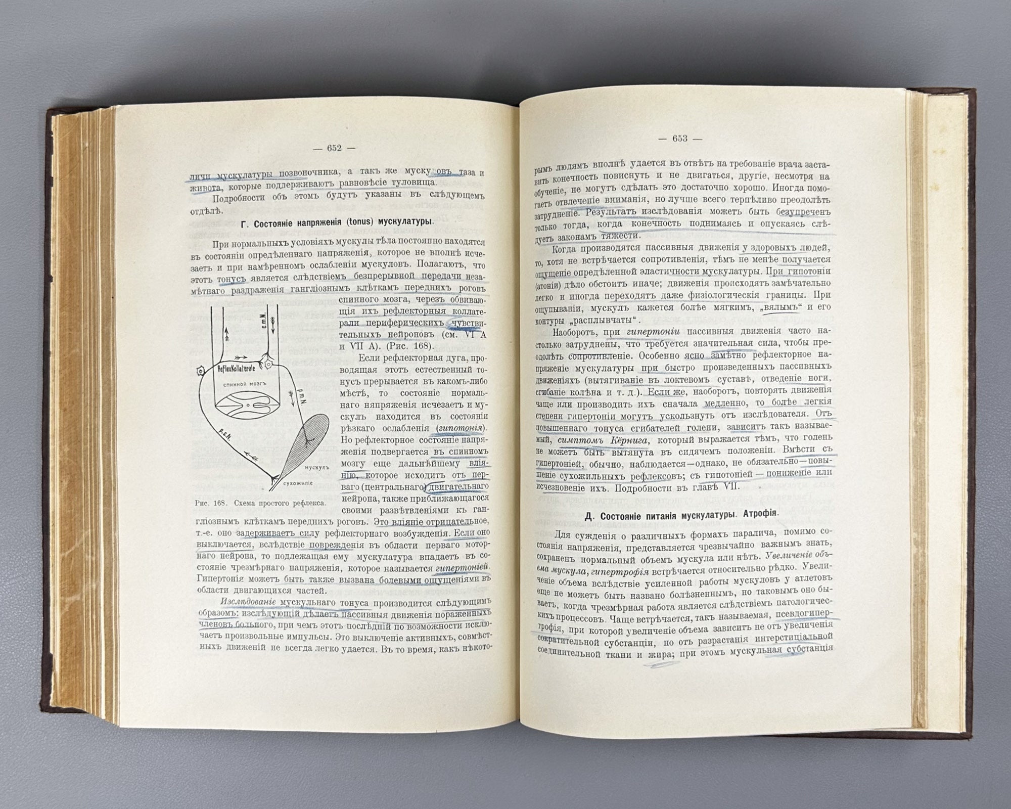 Schmidt, A. and Lutje. Clinical Diagnostics and Propaedeutics of Internal Diseases (Klinicheskaya diagnostika i propedevtika vnutrennikh bolezney). 1911. In Russian.