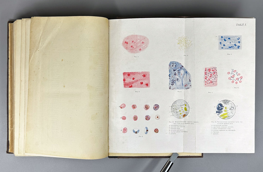 Schmidt, A. and Lutje. Clinical Diagnostics and Propaedeutics of Internal Diseases (Klinicheskaya diagnostika i propedevtika vnutrennikh bolezney). 1911. In Russian.
