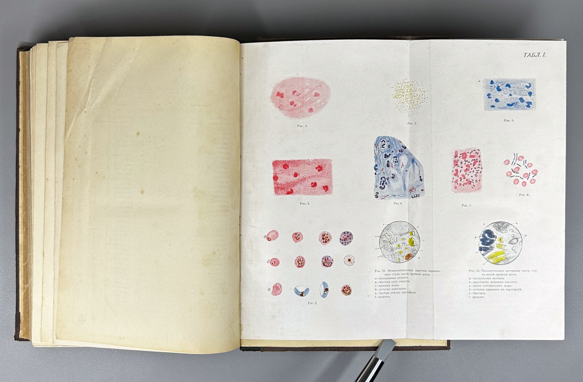 Schmidt, A. and Lutje. Clinical Diagnostics and Propaedeutics of Internal Diseases (Klinicheskaya diagnostika i propedevtika vnutrennikh bolezney). 1911. In Russian.