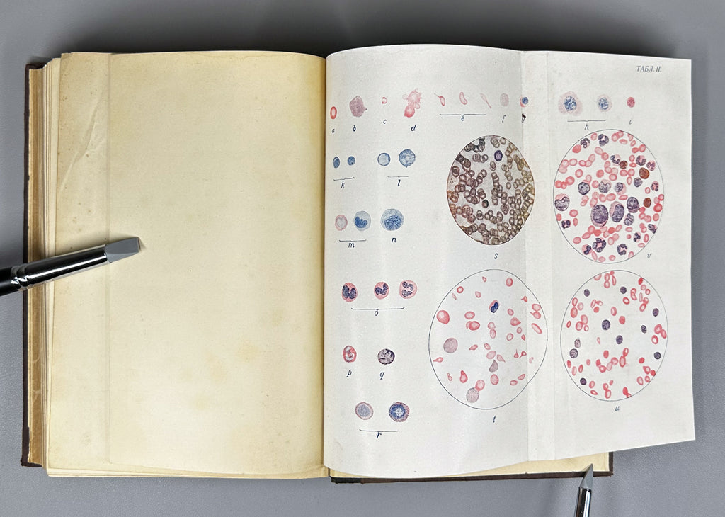 Schmidt, A. and Lutje. Clinical Diagnostics and Propaedeutics of Internal Diseases (Klinicheskaya diagnostika i propedevtika vnutrennikh bolezney). 1911. In Russian.