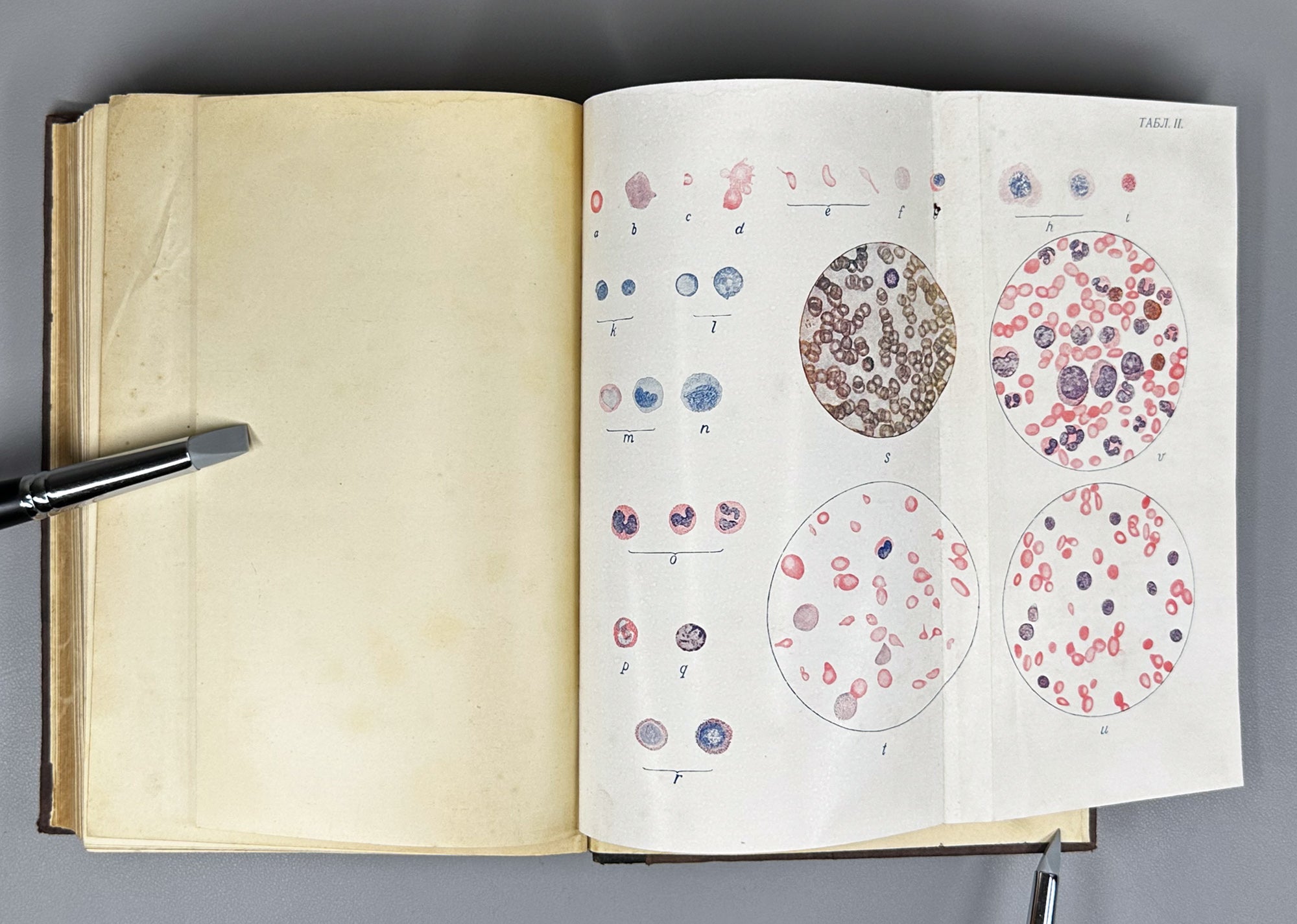 Schmidt, A. and Lutje. Clinical Diagnostics and Propaedeutics of Internal Diseases (Klinicheskaya diagnostika i propedevtika vnutrennikh bolezney). 1911. In Russian.