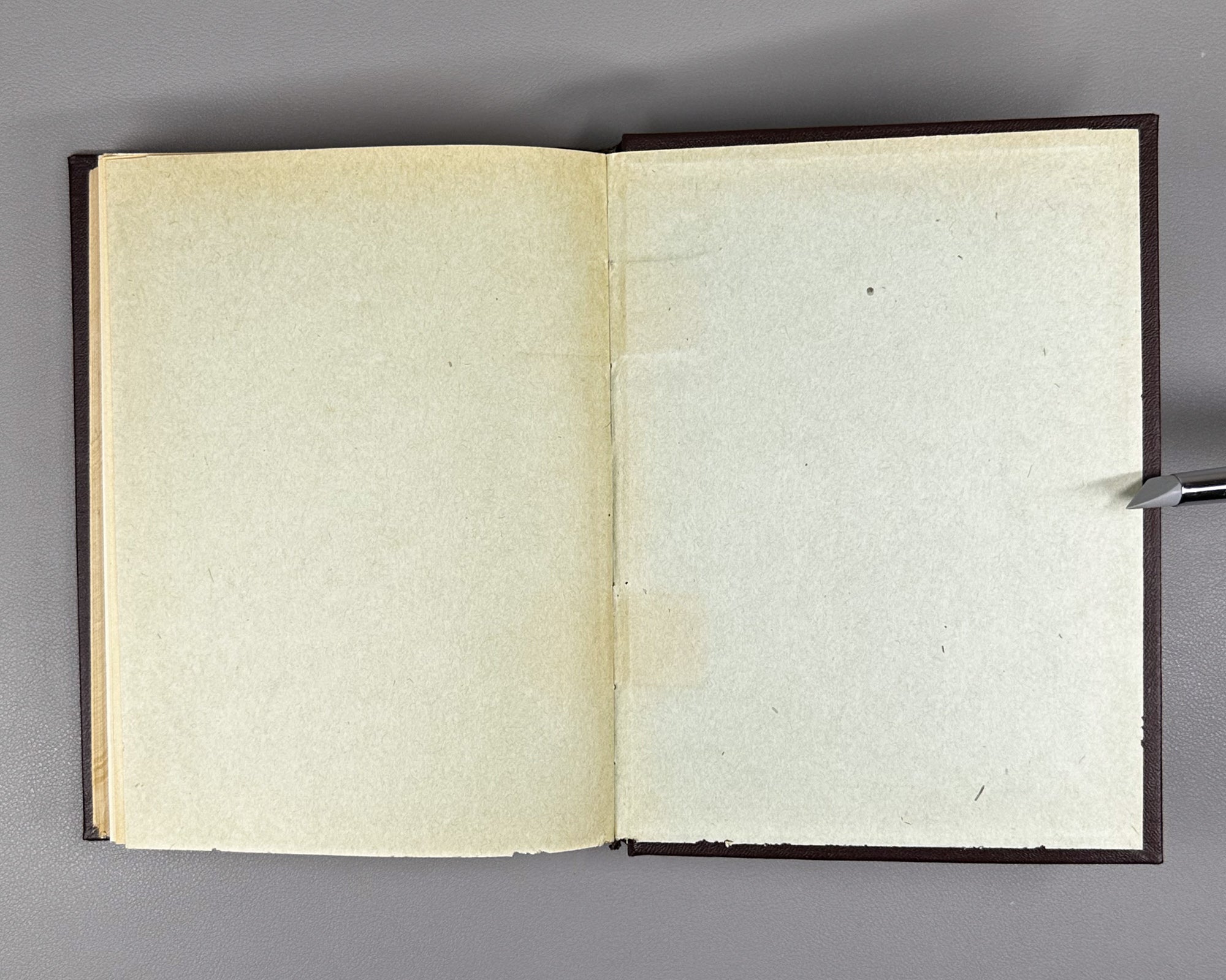 Fischer, M. Nephritis: An Experimental and Critical Investigation of its Nature, its Causes, and the Foundations of its Treatment (Nefrit. Eksperimentalnoe i kriticheskoe issledovanie ego sushchnosti, ego prichin i osnov ego lecheniya). 1914. In Russian.