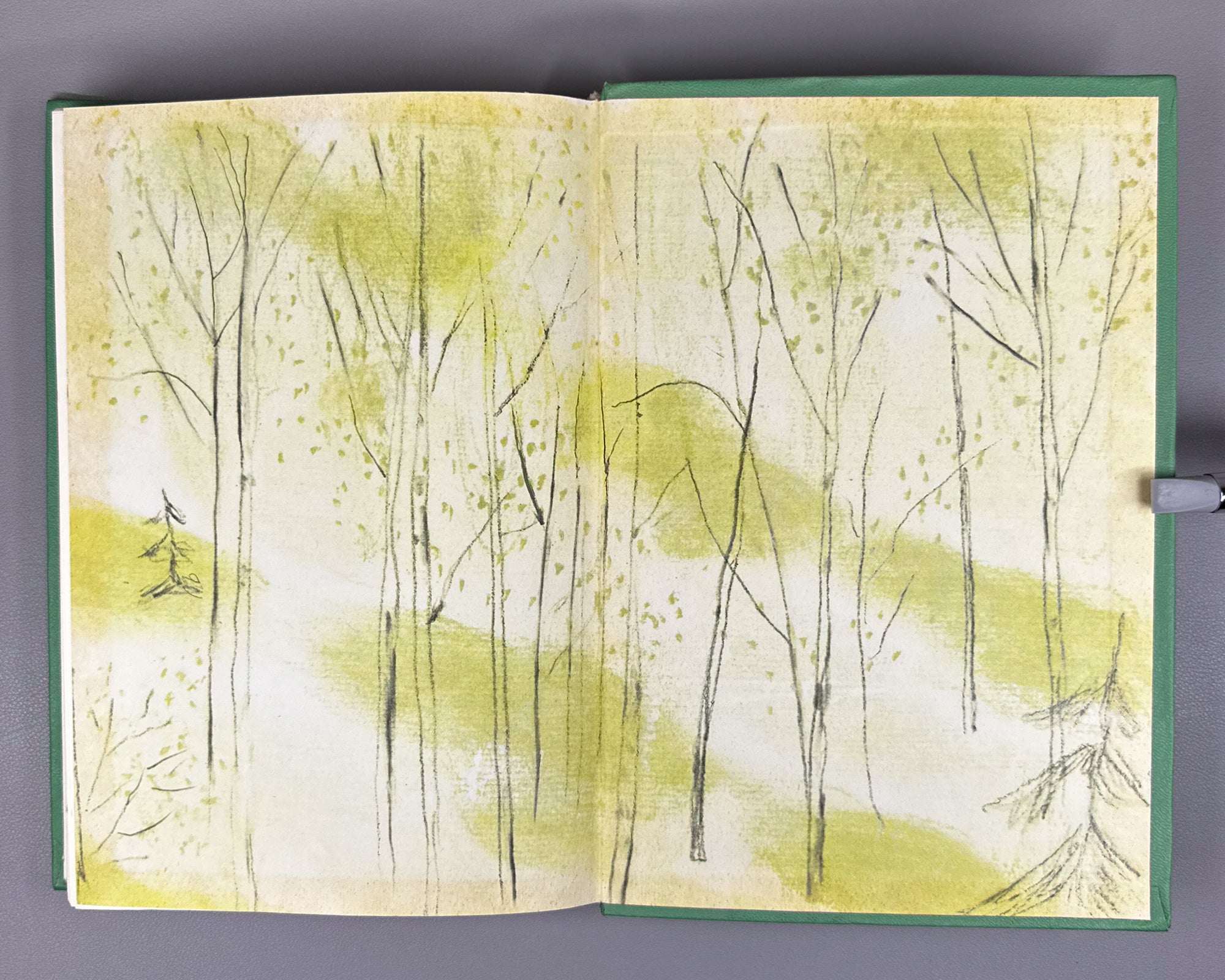 Bianki, V. V. Collected Works in Four Volumes (Sobranie sochineniy v chetyrekh tomakh), illustrations by E. Charushin and V. Kurdov, 1972–1976. In Russian.