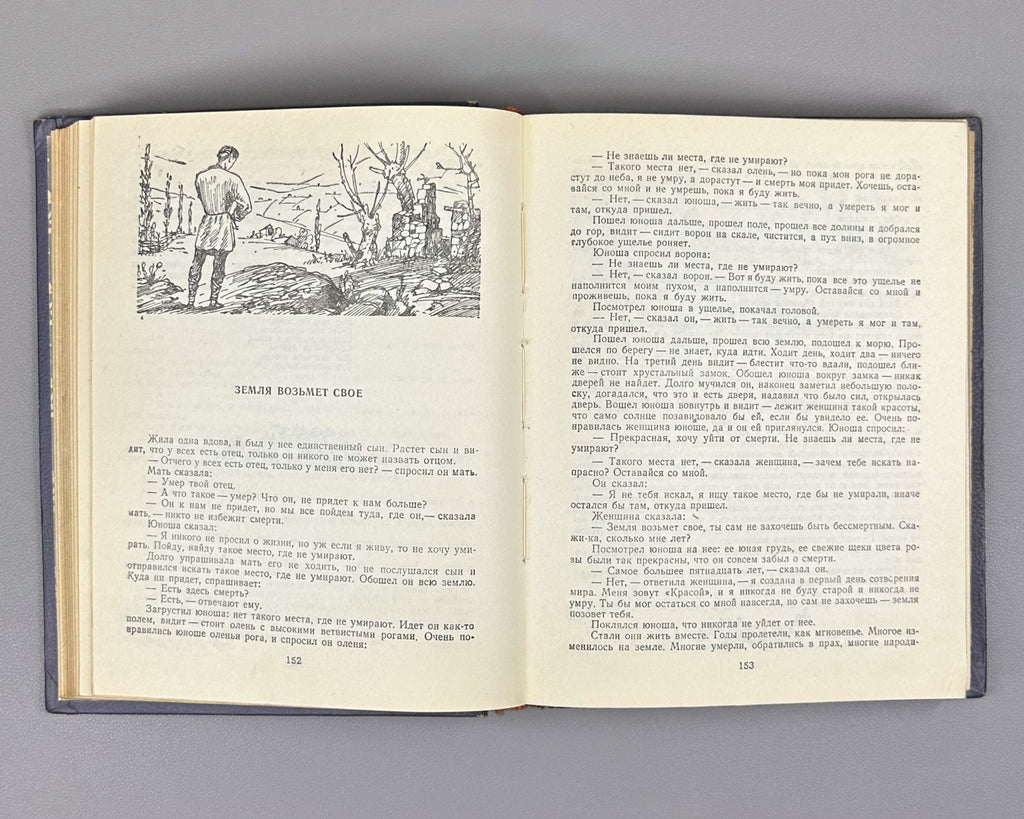 Georgian Folk Tales: One Hundred Tales / compiled, translated, and annotated by N. I. Dolidze; illustrated by S. Kobulidze, 1956. In Russian.